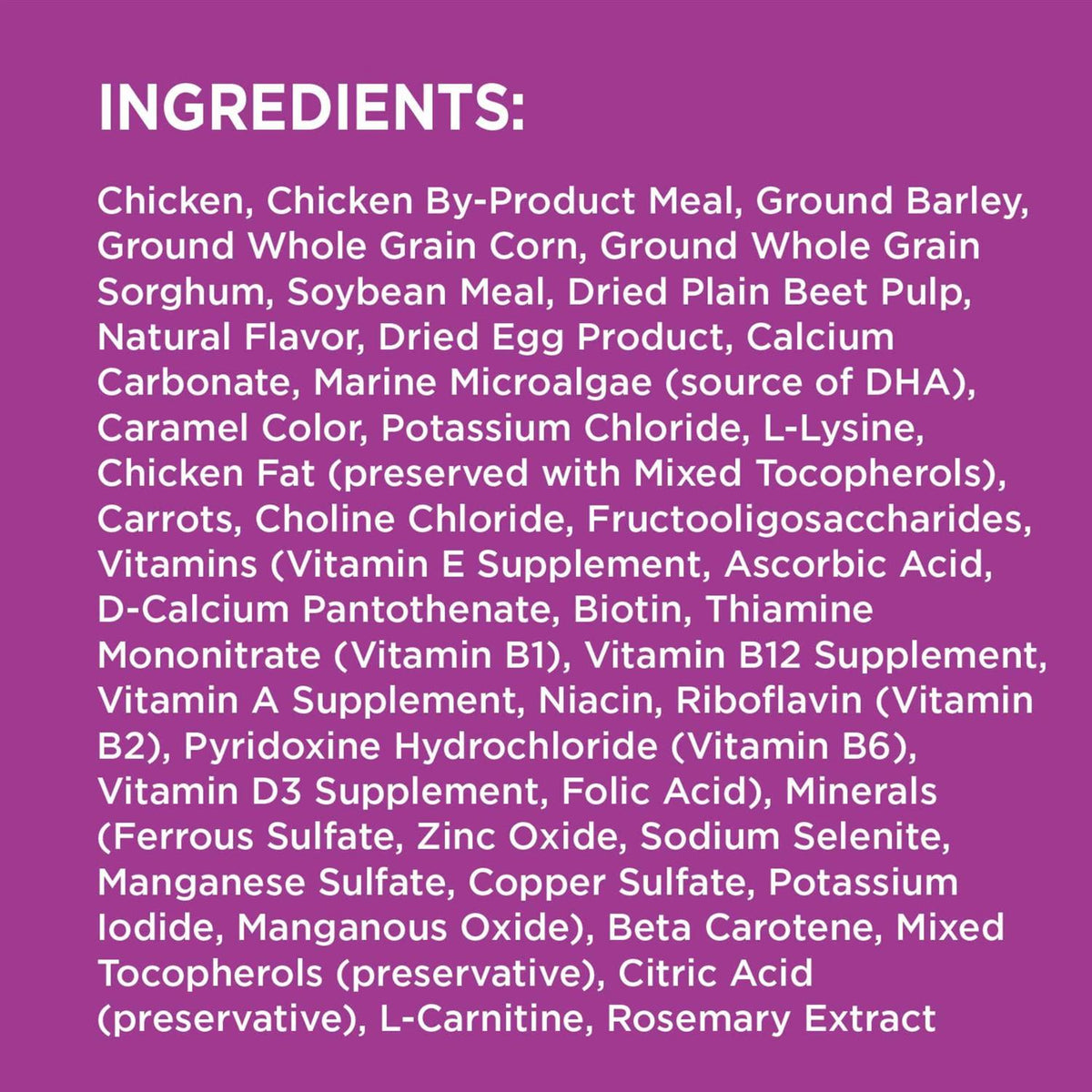 Dry Dog Food M69849