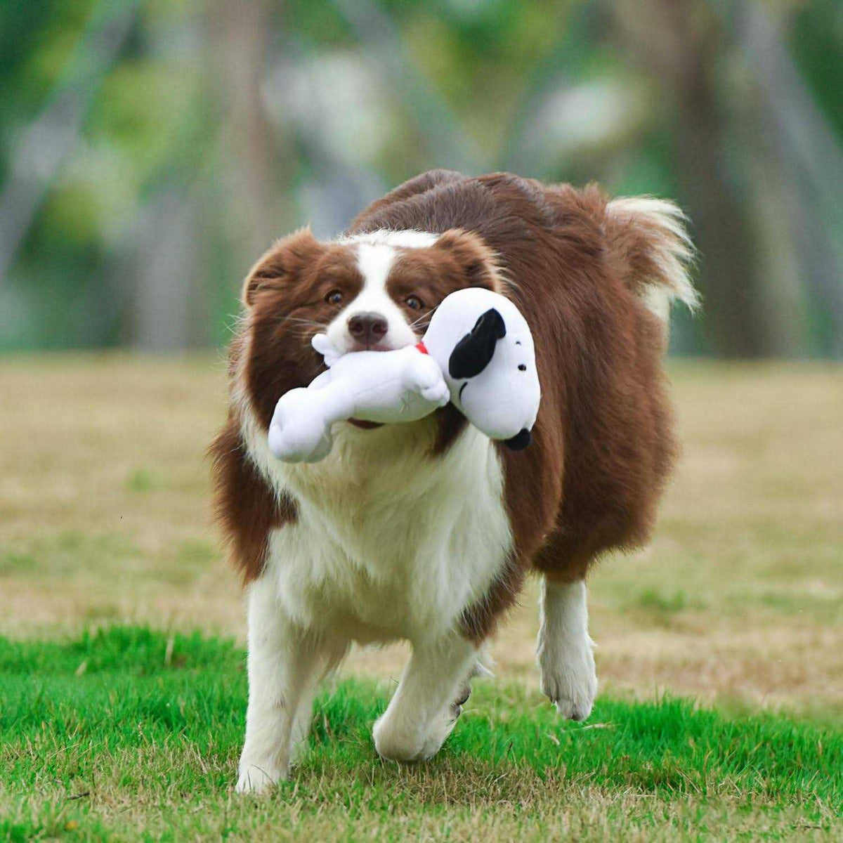 White Plush Dog Toy S89345