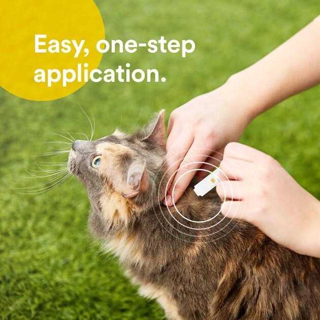 Flea & Tick Spot Treatment for Cats D676510