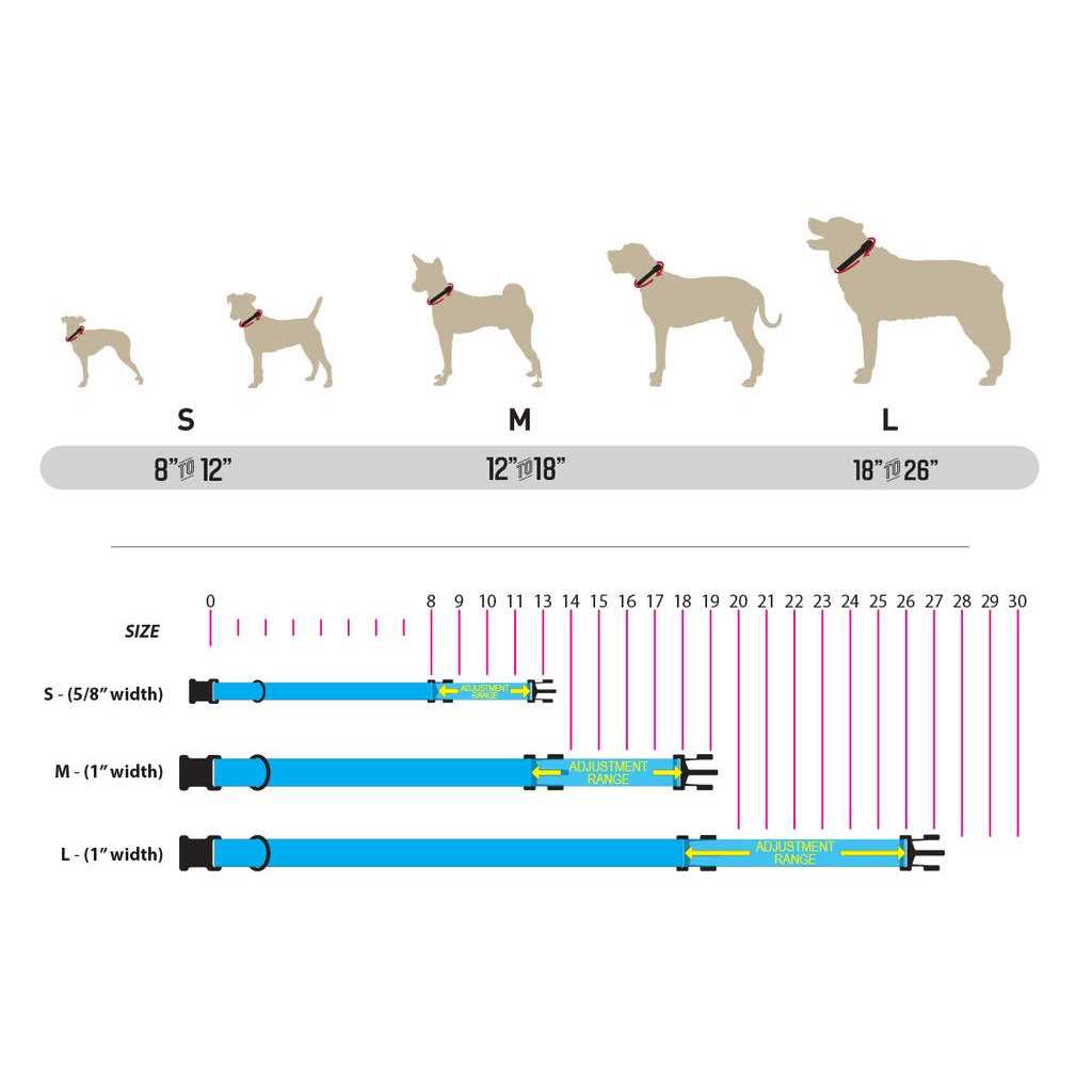 Dog Collar H239
