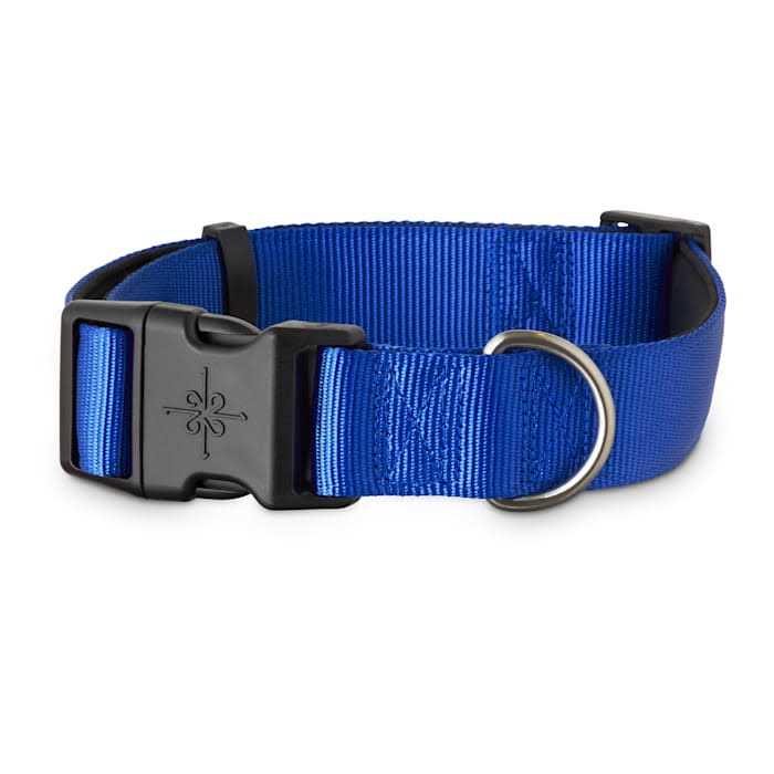 Neoprene Padded Dog Collar W769