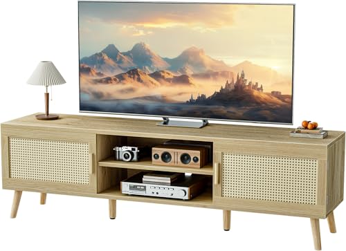 Boho TV Stand for 65 Inch TV with Adjustable Shelf and 2 Cabinets H904
