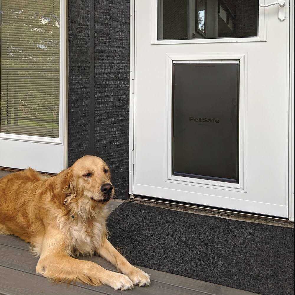 Pet Storm Door X249953