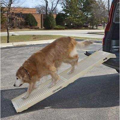 Folding Dog Ramp A382357
