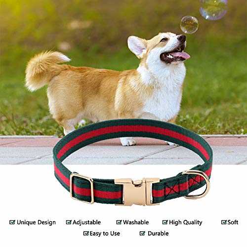 Adjustable Dog Collar with Metal Buckle L6335