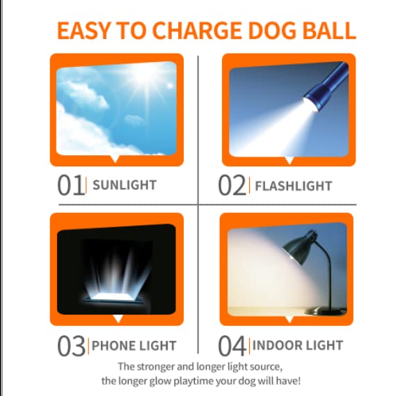 Interactive Squeaky Dog Ball, Light Up, Floating, Durable TPR, 2.5 Inches, 1 Pack M991