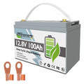 12V 100Ah LiFePO4 Lithium Battery with 100A BMS D51129