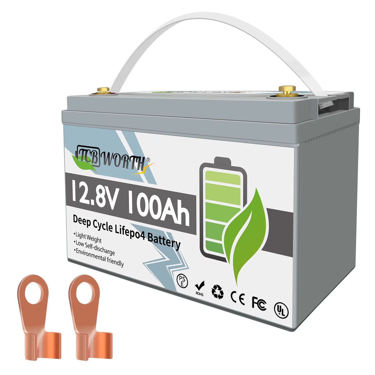 12V 100Ah LiFePO4 Lithium Battery with 100A BMS D51129