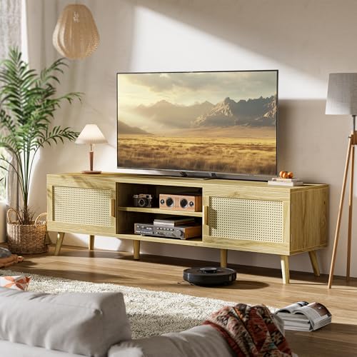 Boho TV Stand for 65 Inch TV with Adjustable Shelf and 2 Cabinets H904