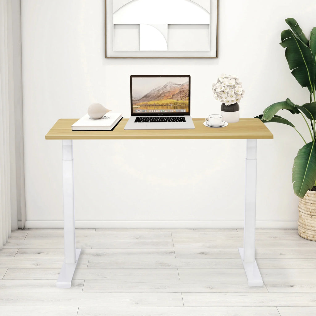 Electric Adjustable Height Standing Desk A930369