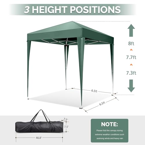 10x10 Pop Up Canopy Tent with Sidewalls B2661