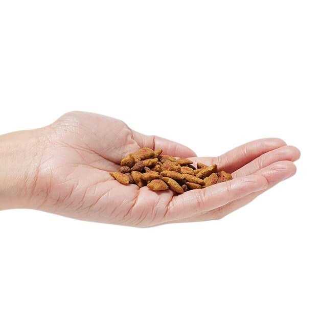 Hairball Control Dry Cat Food H4494