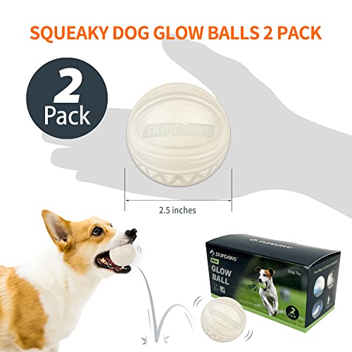 Interactive Squeaky Dog Ball, Light Up, Floating, Durable TPR, 2.5 Inches, 1 Pack M991
