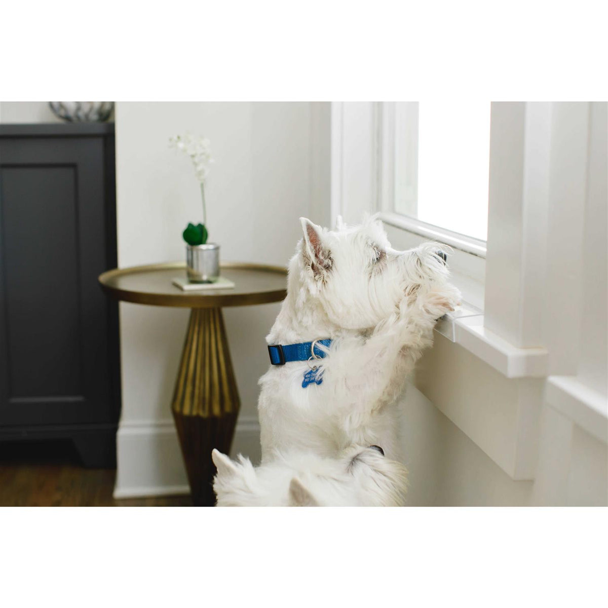 Window Sill Protector Transparent T16654