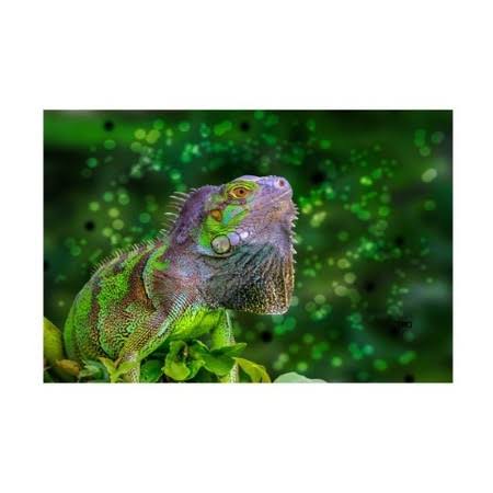 Canvas Art M401038