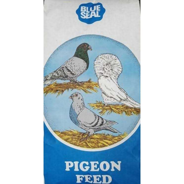 Blue Seal Pigeon Feed X6755