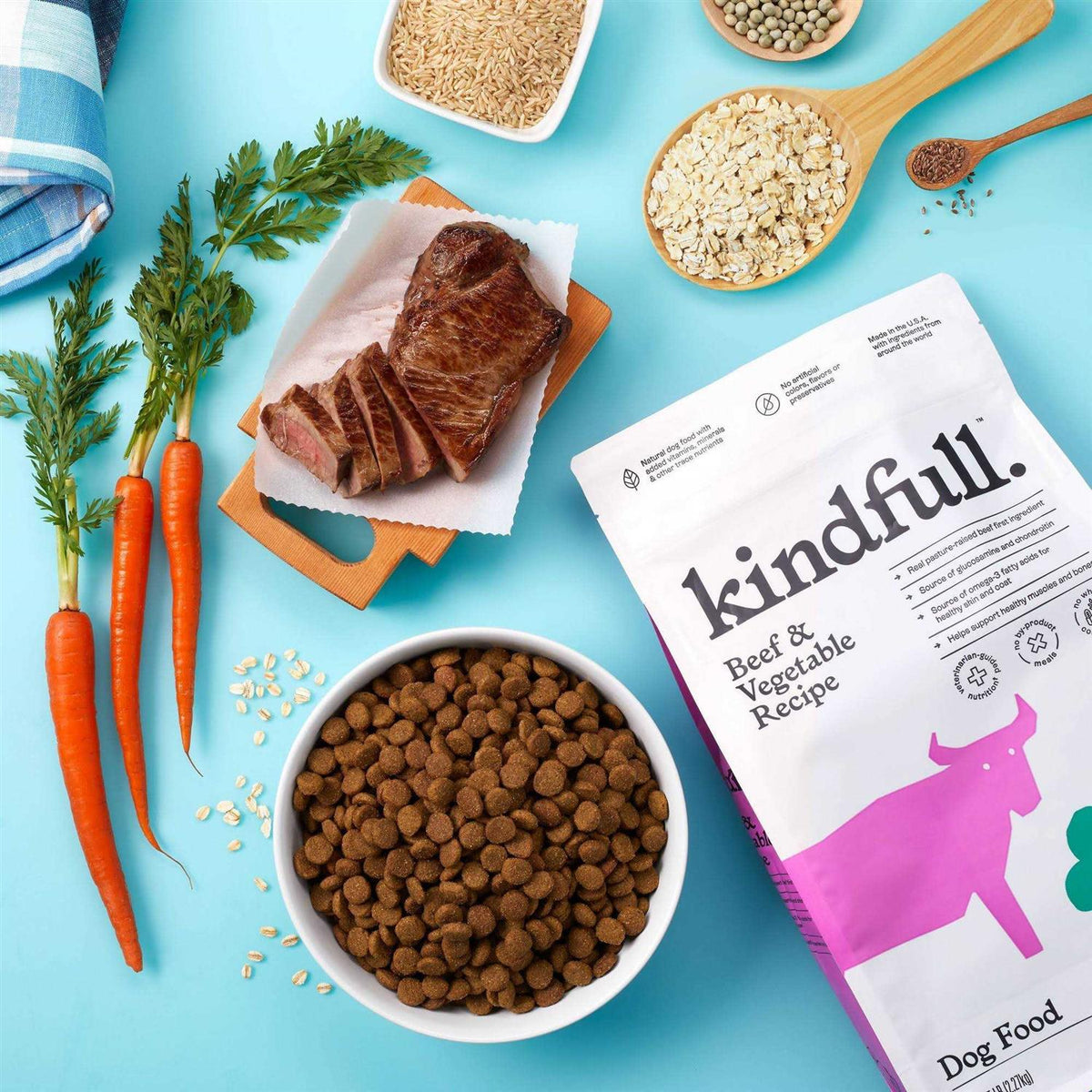 Beef and Vegetable Recipe Dry Dog Food E728