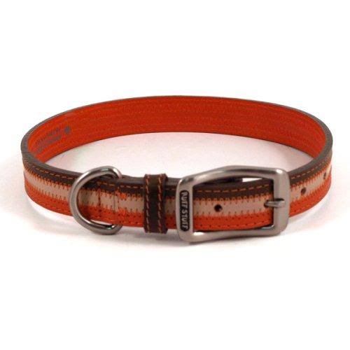 Orange Dog Collar Large R36738
