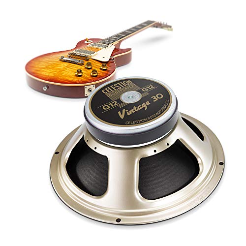 16 Ohm Black Guitar Speaker A64609