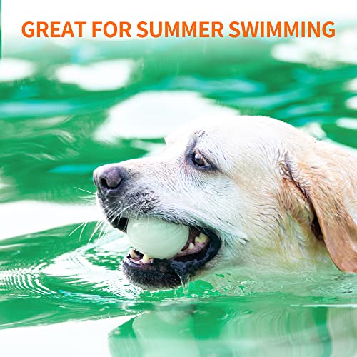 Interactive Squeaky Dog Ball, Light Up, Floating, Durable TPR, 2.5 Inches, 1 Pack M991
