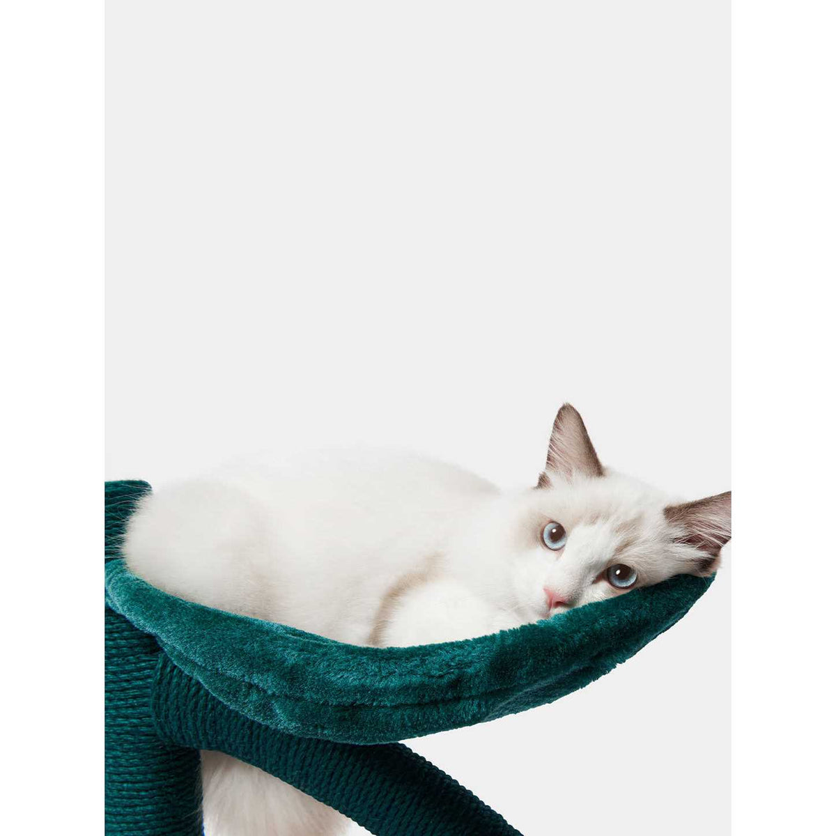 Cat Tree N151