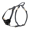 Biothane Multi-Function Harness H9937