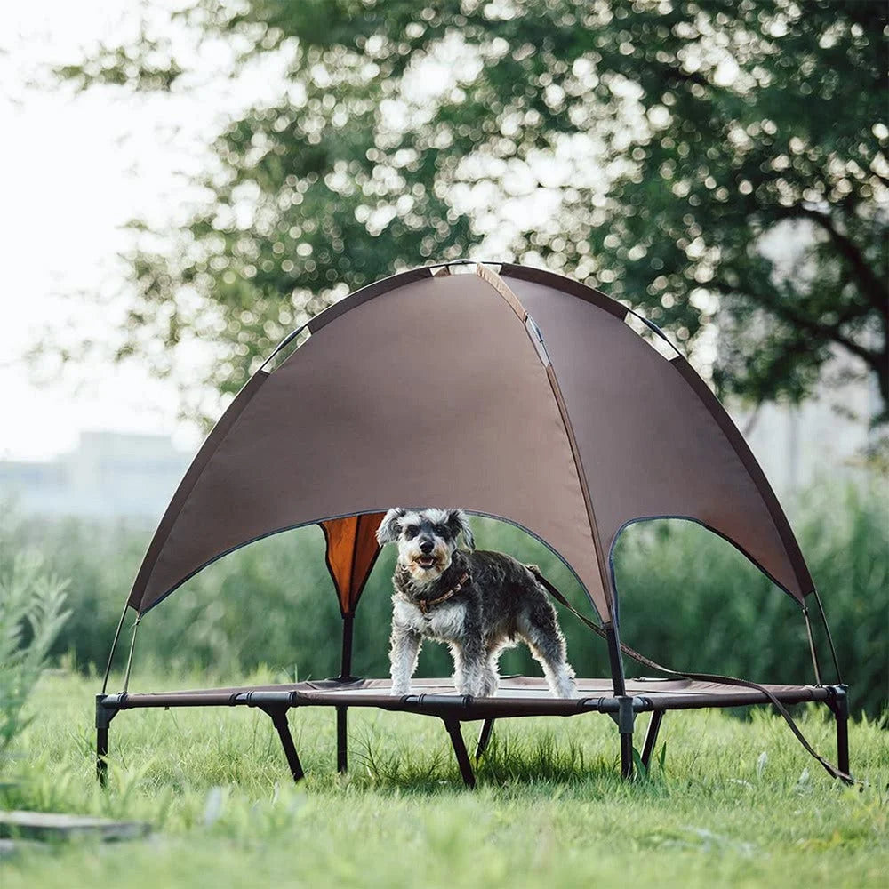 Dog Bed Tent with Canopy F26903