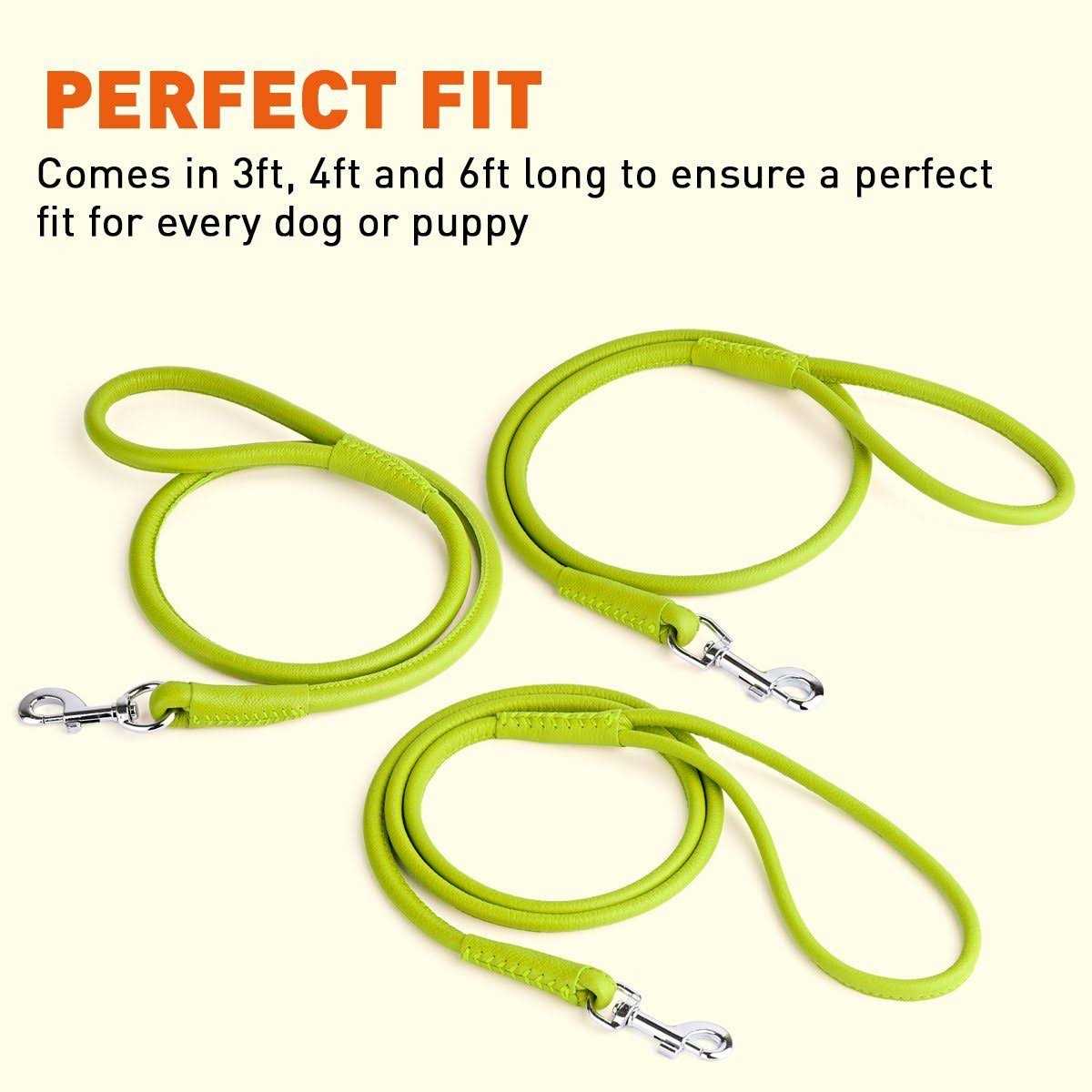 Soft Leather Round Leash F3775