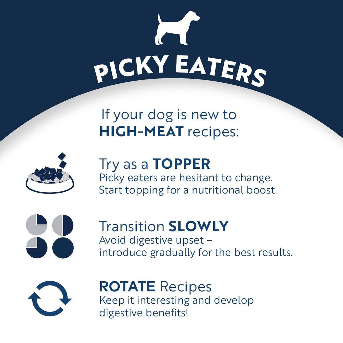 Canned Dog Food F646077