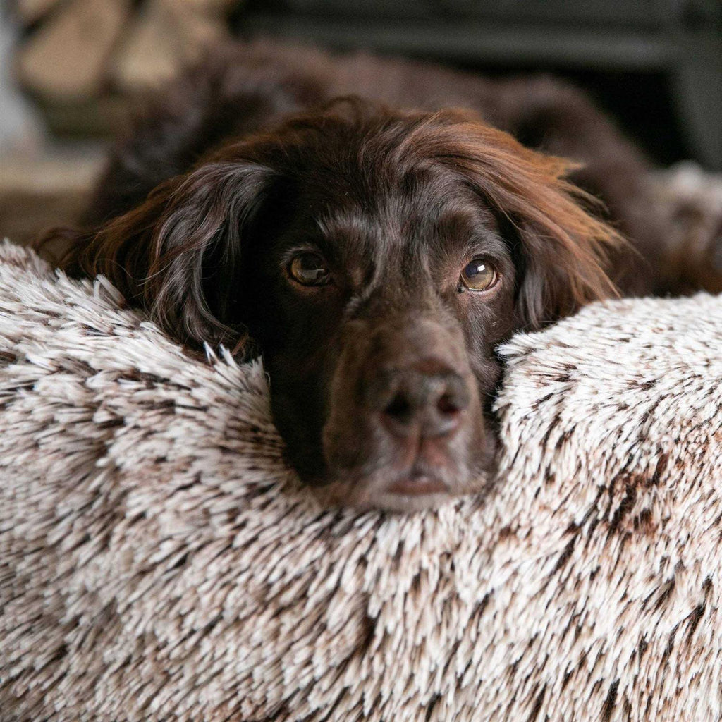 Calming Dog Bed M571