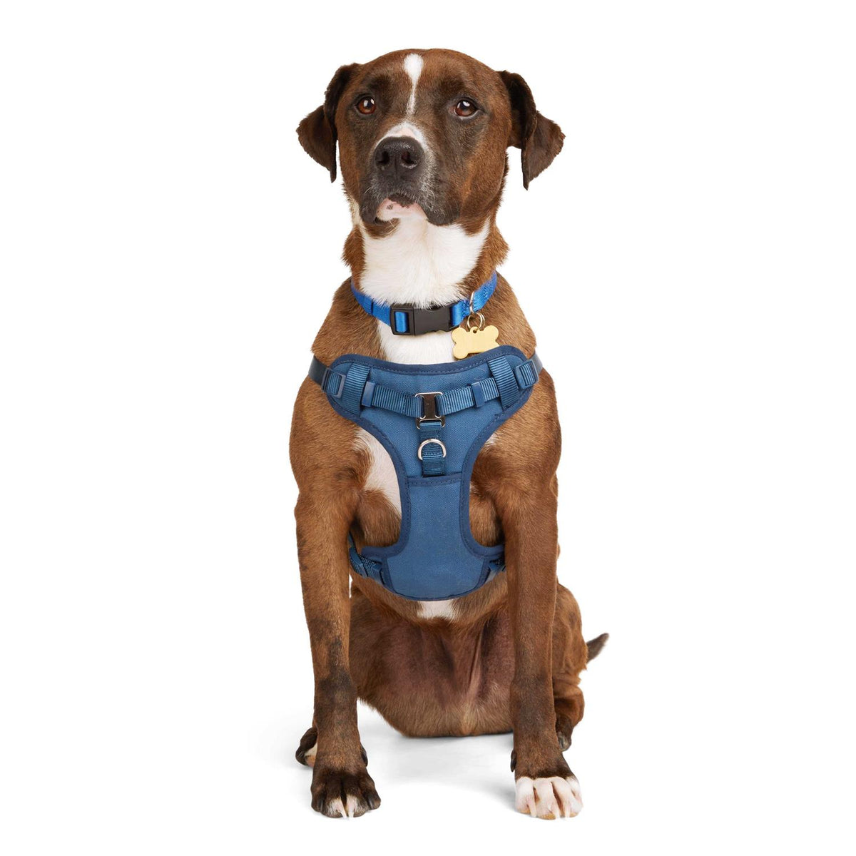 Padded Step-in Dog Harness P88532
