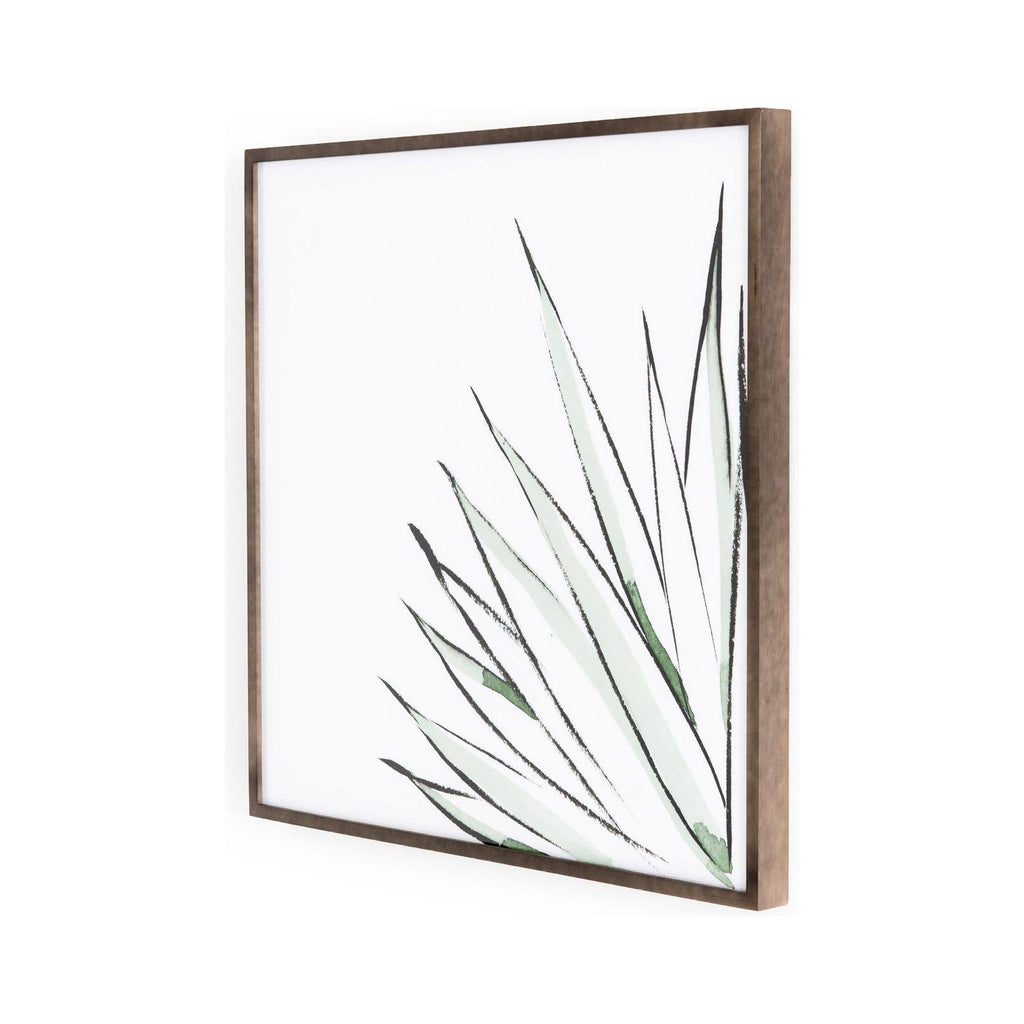 Agave Crop T623751