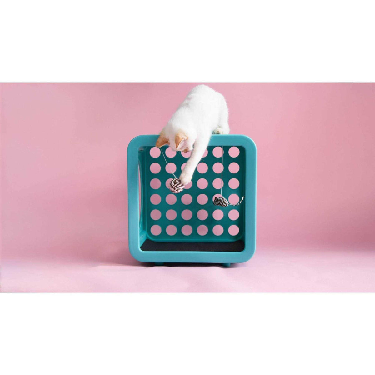 Cat House Y939