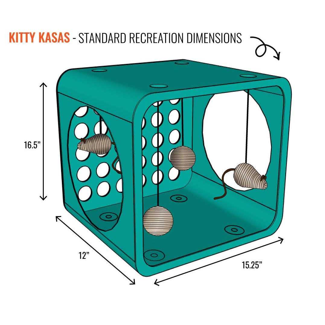 Cat House Y939