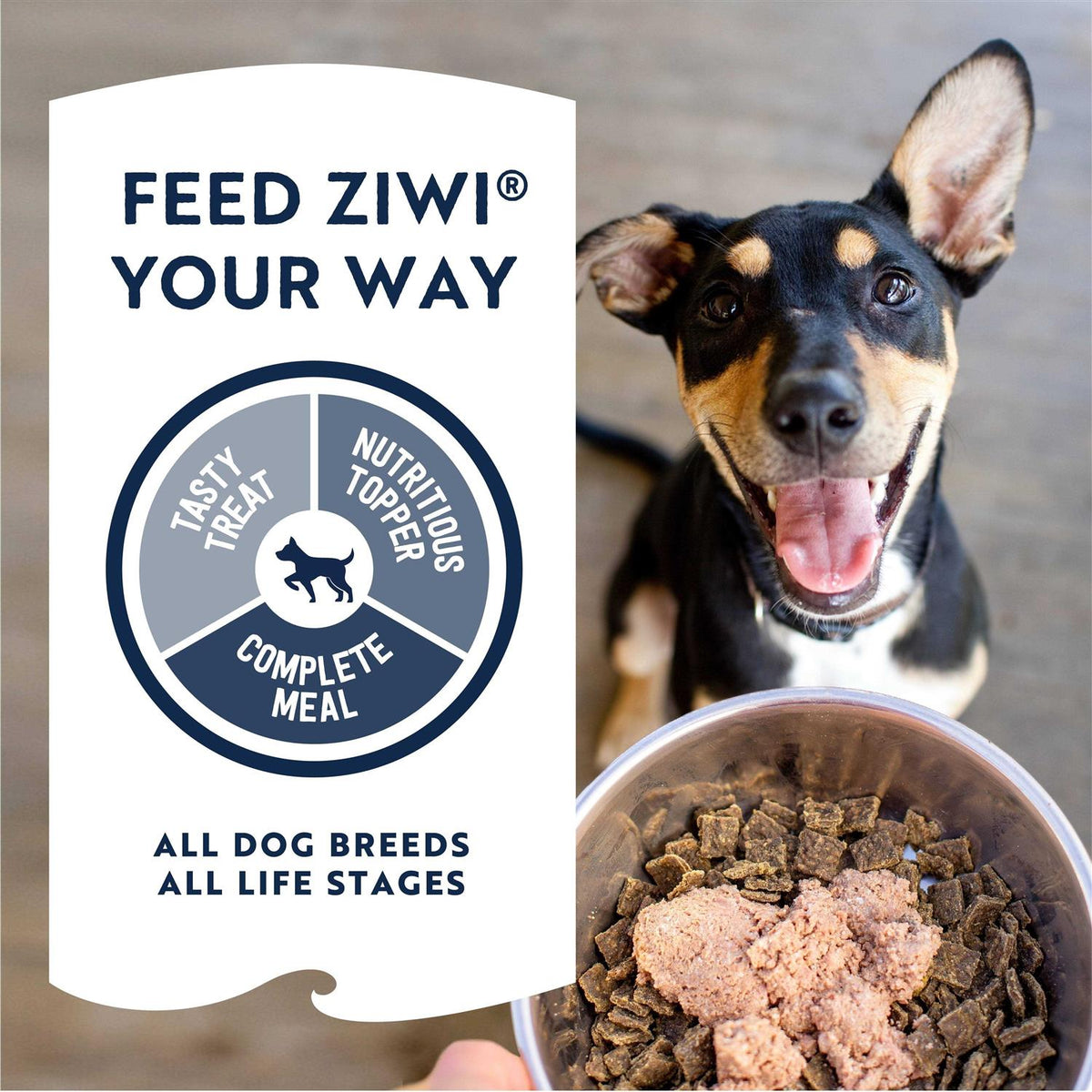 Canned Dog Food F646077