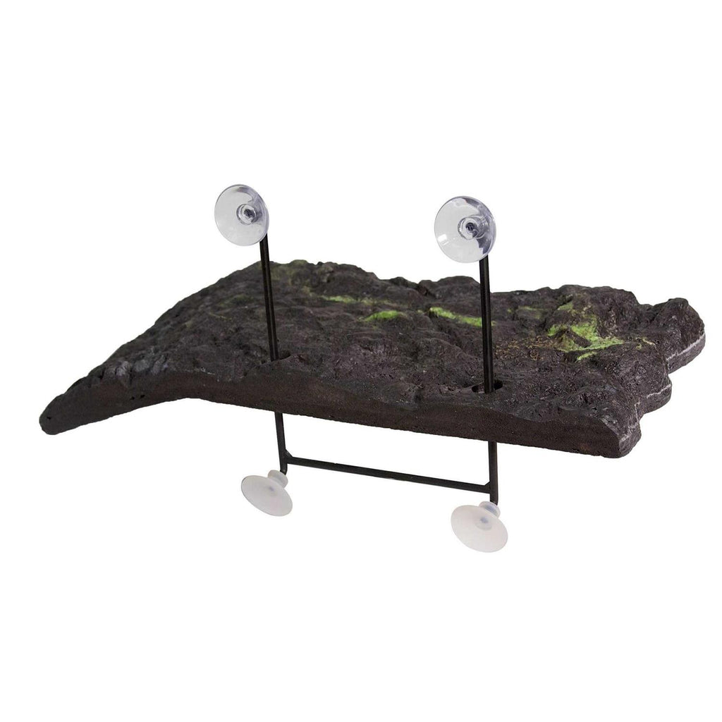 Turtle Dock K897925