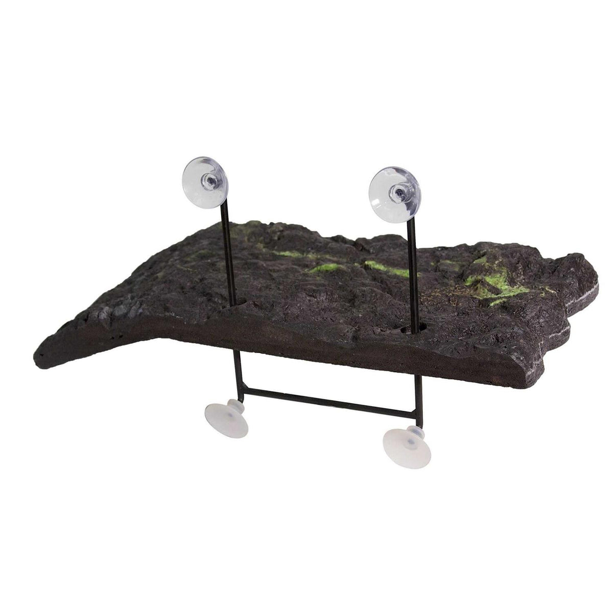 Turtle Dock K897925