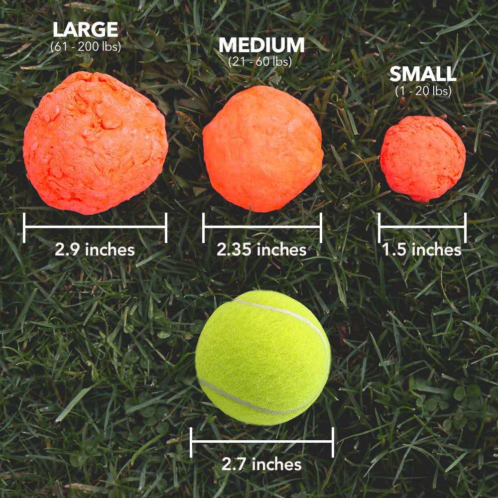 Fetch Dog Toy K5101