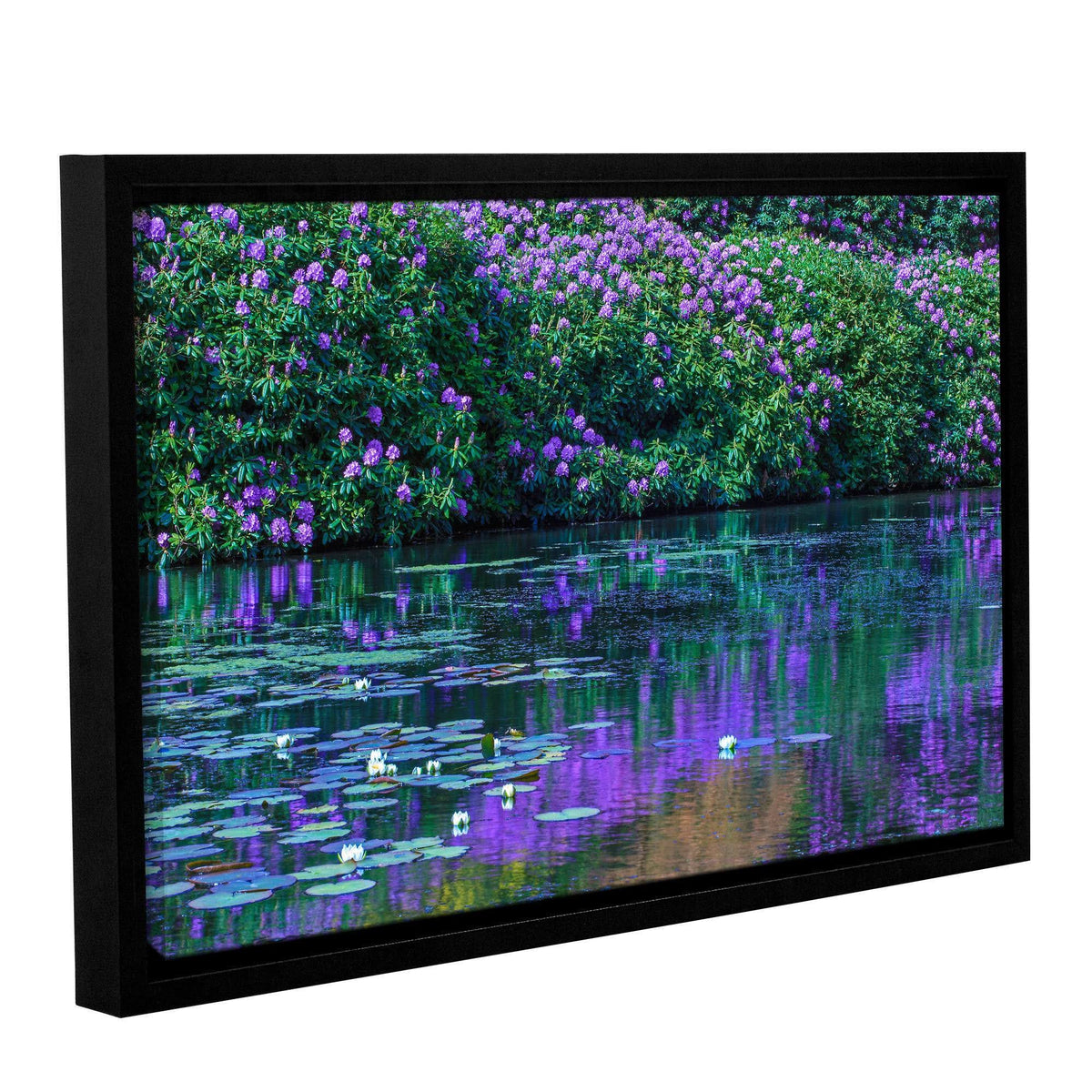 Gallery Wrapped Floater-framed Canvas L56846