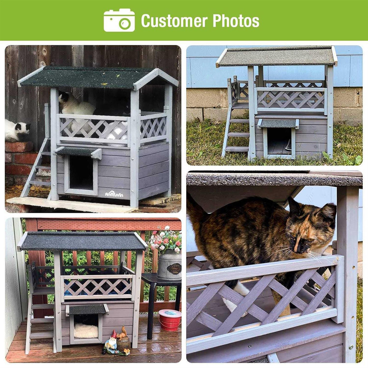 Cat House with Door W711