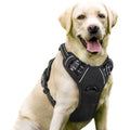 Adjustable Soft Padded Dog Harness with 2 Leash Clips Z6473