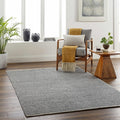 Gray Black 5' X 7'6" Area Rug Y213