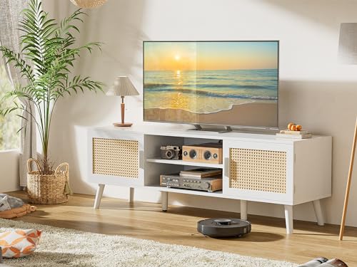 Boho TV Stand for 65 Inch TV with Adjustable Shelf and 2 Cabinets H904