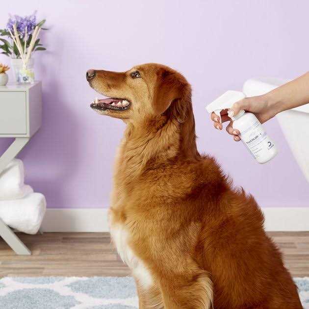 Conditioner Spray Z43875