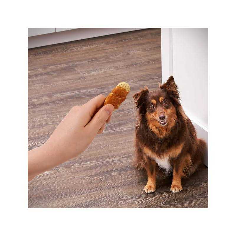 Peanut Butter Flavor Chicken Dog Treats G387
