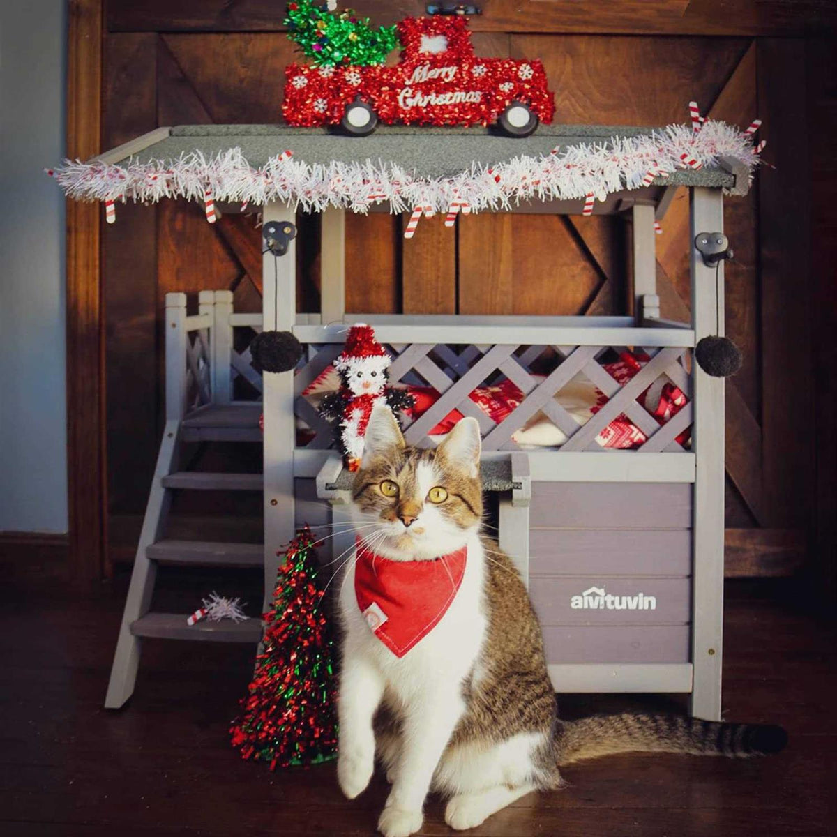 Cat House with Door W711