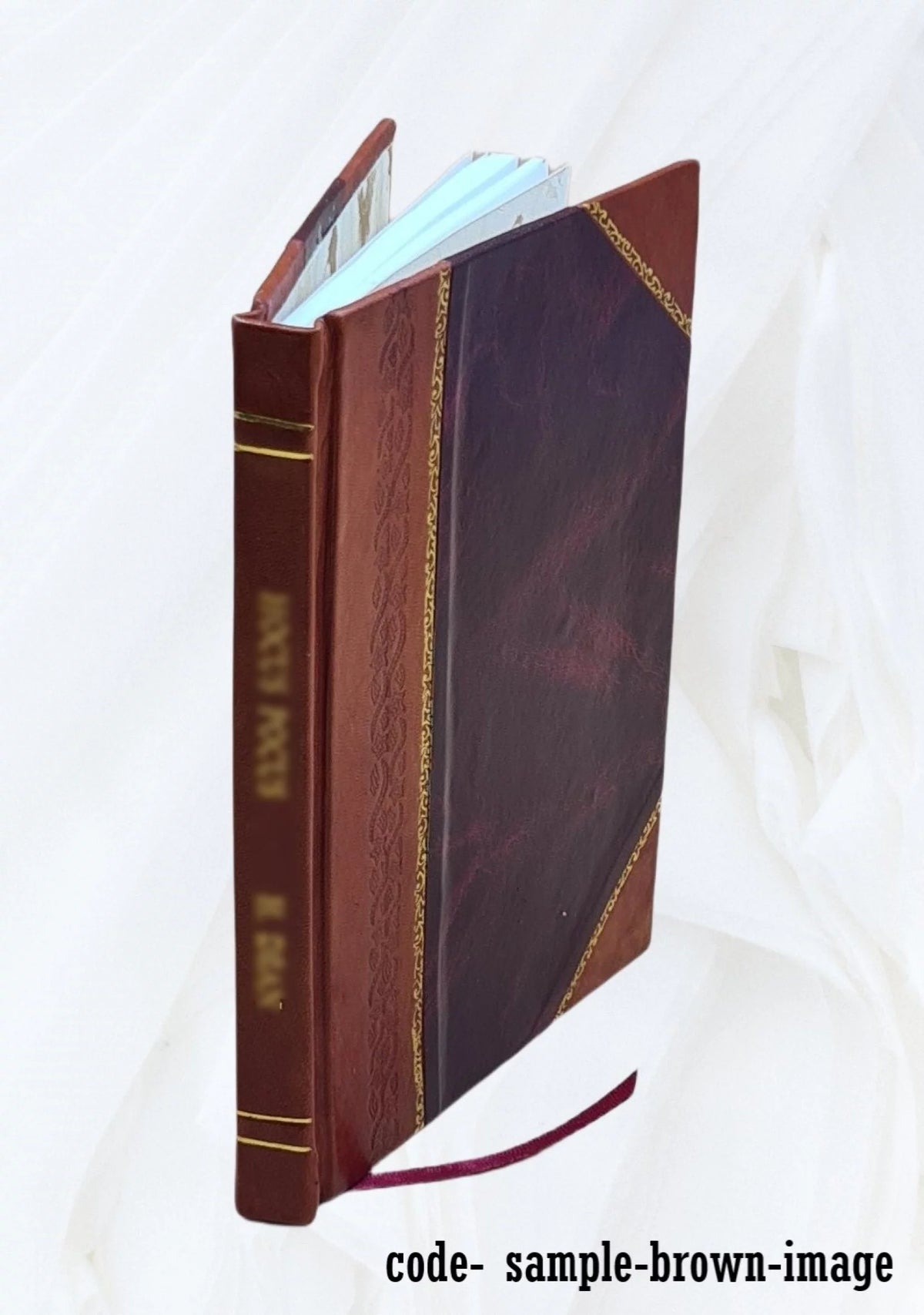 Cucumbers under glass Leather Bound Q880